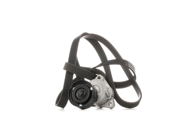 Comprar Juego de correas trapeciales poli V de RIDEX 542R0671 a bajo precio de 49,70 €
