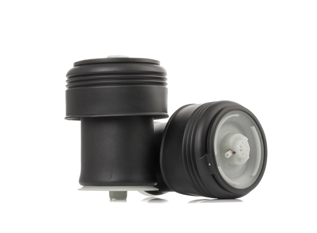 Luftfeder, Fahrwerk 4119A0089 von RIDEX günstig für 146,06 € online kaufen