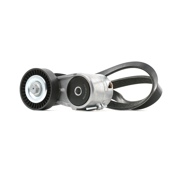 Acquista Kit Cinghie Poly-V da RIDEX 542R0673 a buon mercato per soli 40,68 €