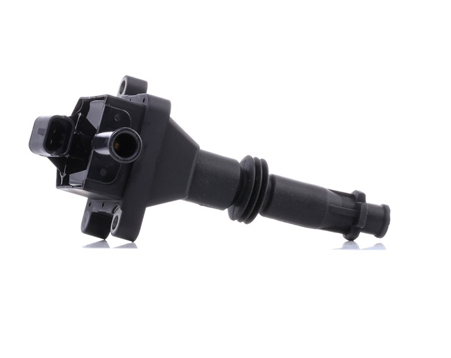 Osta Sytytyspuola RIDEX:llä 689C0416 edullisesti hintaan 164,65 €