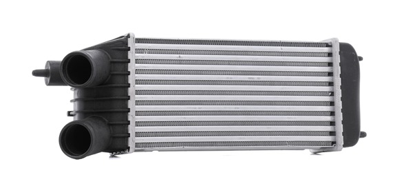 Acquista Intercooler da RIDEX 468I0399 a buon mercato per soli 95,58 €
