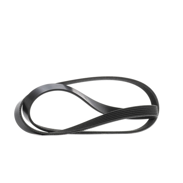 Achetez des Courroie Poly-V RIDEX 305P0544 à prix pour 10,18 €