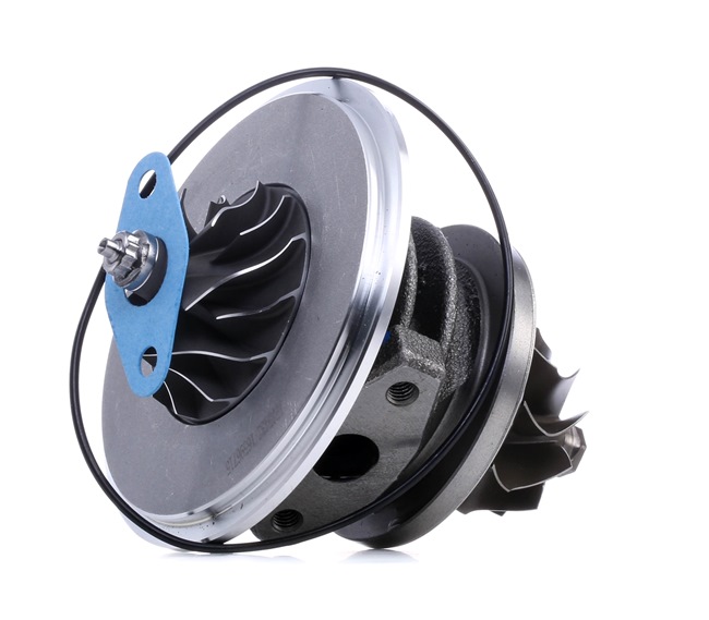 Compre Cartucho CHRA da RIDEX 4973C0121 a um preço baixo por 239,76 €