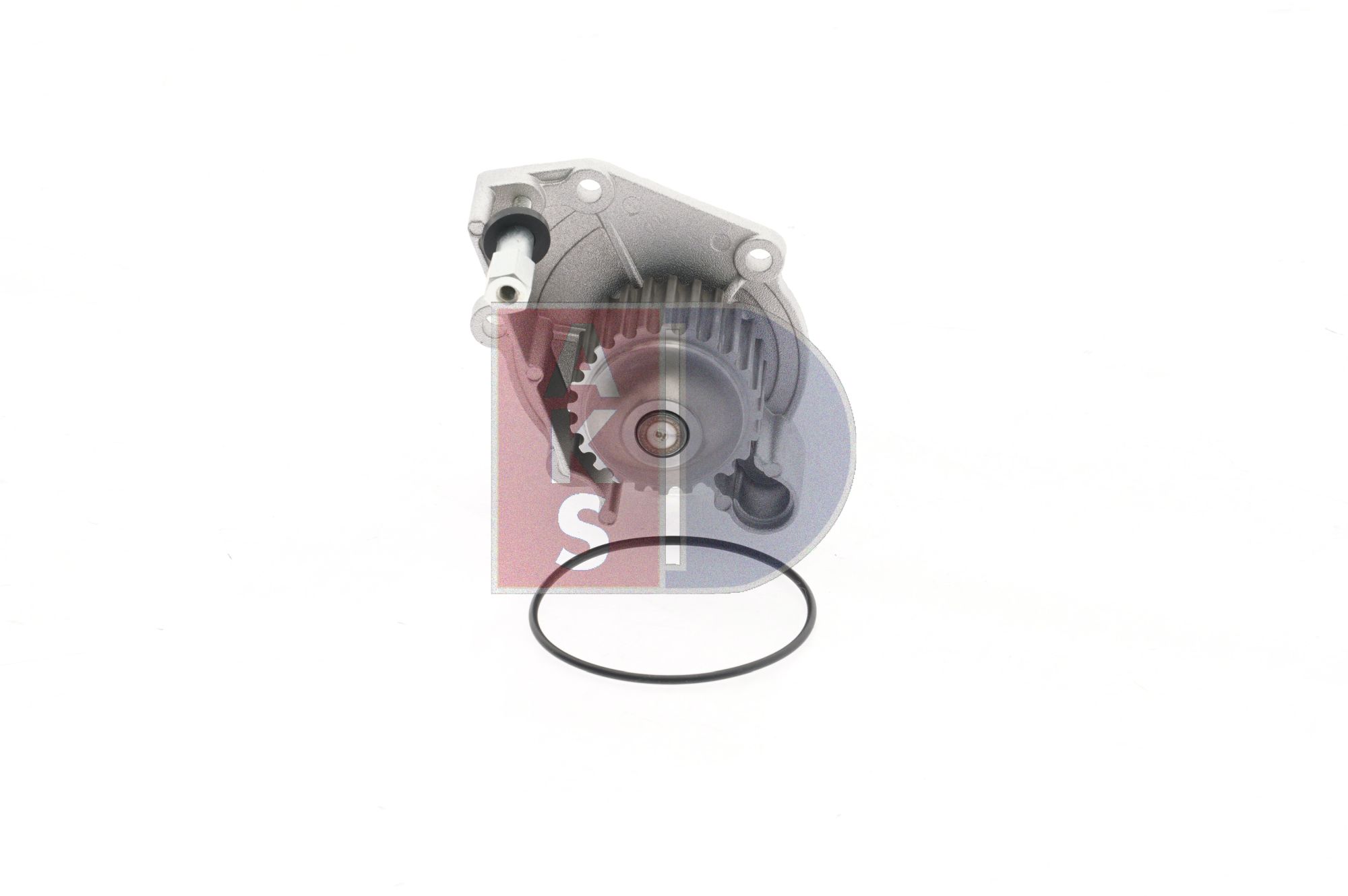 Achetez des Pompe à eau AKS DASIS 570425N à prix pour 57,58 €