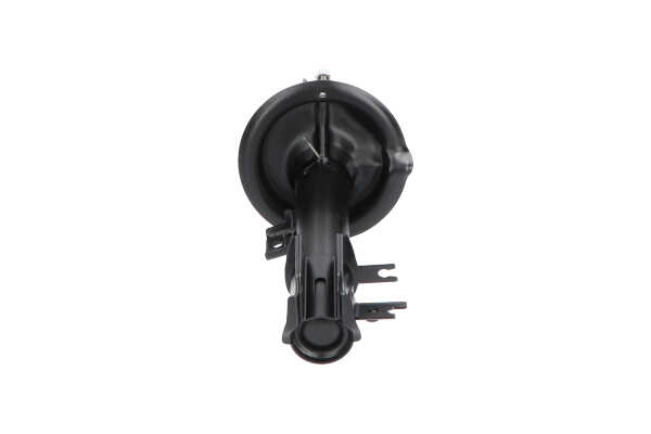 Original KAVO PARTS Stoßdämpfer online kaufen