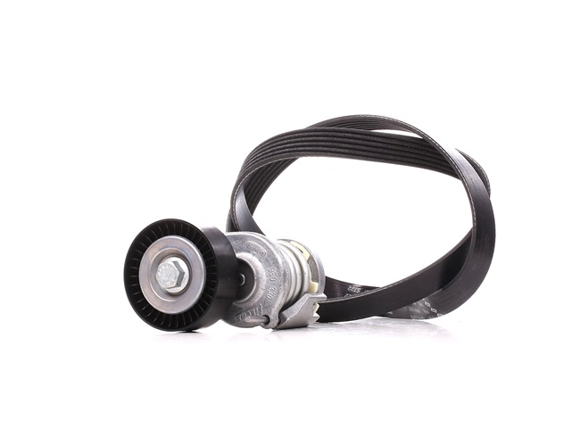 Acquista online INA Kit Cinghie Poly-V Art.: 529 0475 10