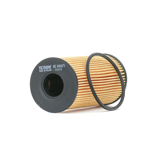 Acquista online FILTRON Filtro olio Art.: OE 666/5