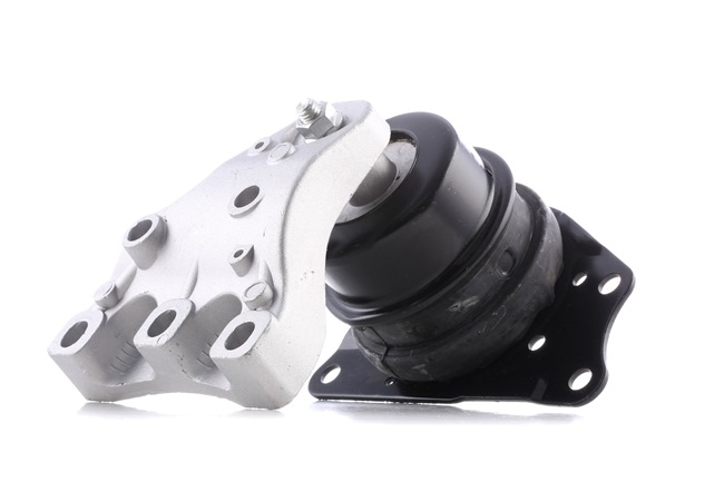 Acquista online REINHOCH Supporto motore Art.: RH11-0030