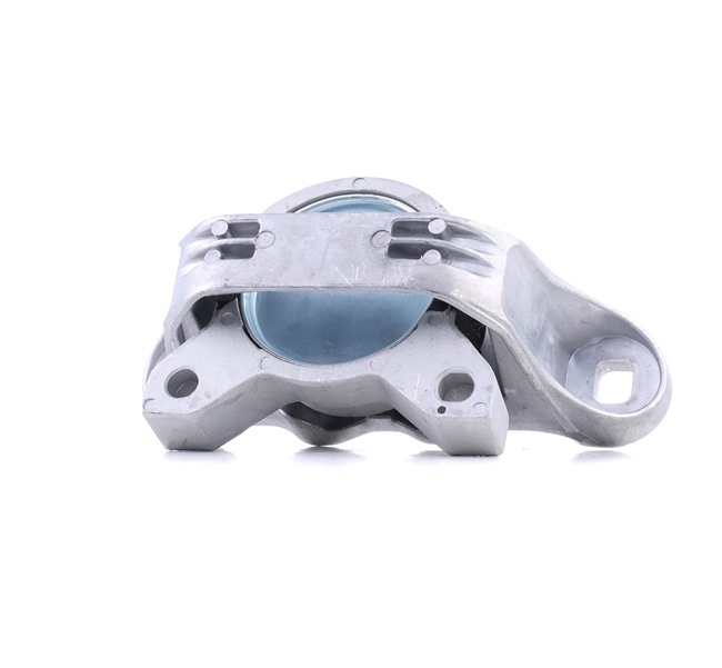 Acquista Supporto motore da REINHOCH RH11-4013 a buon mercato per soli 63,59 €