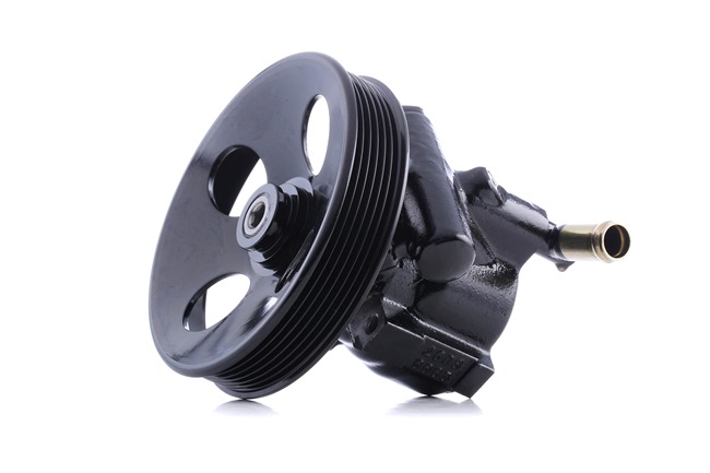Osta Ohjaustehostimen pumppu RIDEX:llä 12H0308 edullisesti hintaan 155,29 €