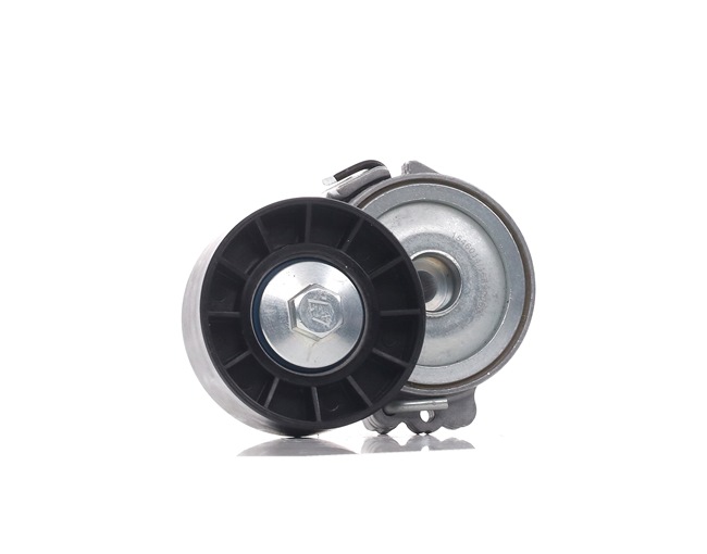 Comprar Polea tensora, correa poli V de RIDEX 310T0510 a bajo precio de 30,37 €