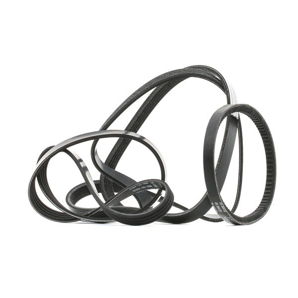 Osta Moniurahihnasarja RIDEX:llä 542R0694 edullisesti hintaan 21,16 €