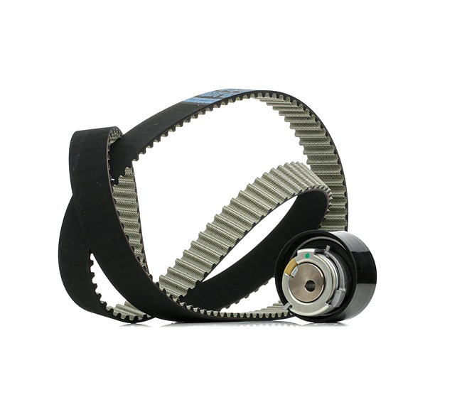 Achetez des Kit de distribution RIDEX 307T0417 à prix pour 70,60 €