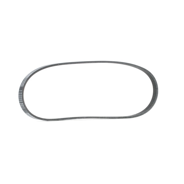 Achetez des Courroie Poly-V RIDEX 305P0553 à prix pour 6,80 €
