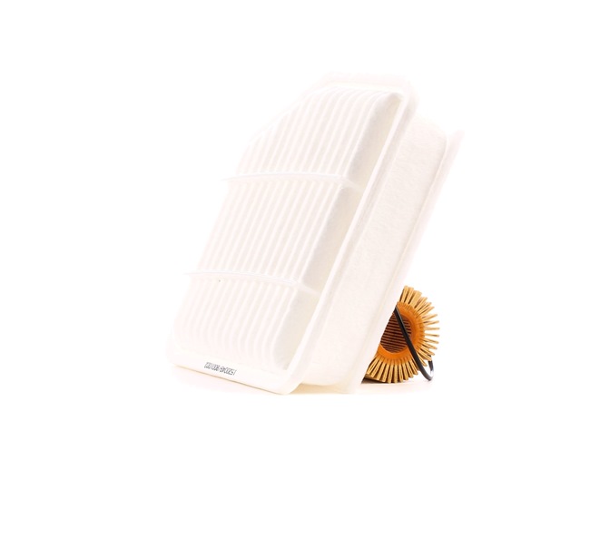 Compre Kit de filtros de RIDEX online para IS II (GSE2_, ALE2_, USE2_) a preços moderados