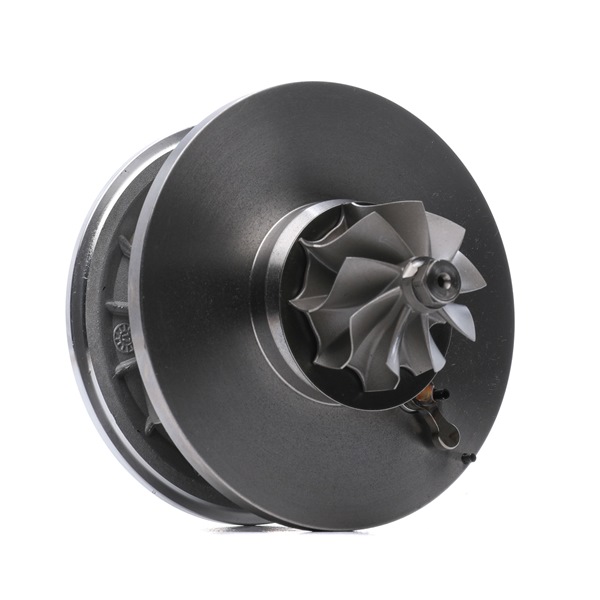 Rumpfgruppe Turbolader 4973C0131 OPEL SIGNUM von RIDEX