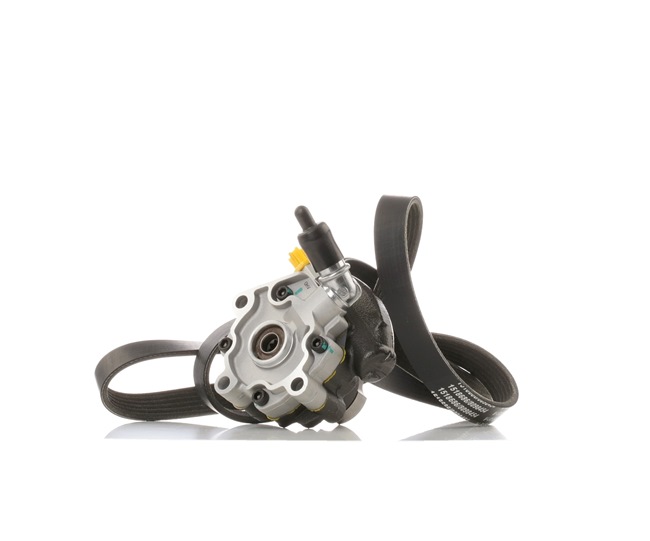 Osta Ohjaustehostimen pumppu RIDEX:llä 12H0320 edullisesti hintaan 176,35 €