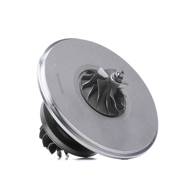 Achetez des Cartouche turbo RIDEX 4973C0162 à prix pour 153,41 €