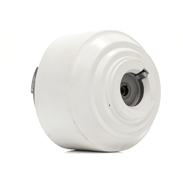 Motorlager 247E0755 von RIDEX günstig für 39,48 € online kaufen