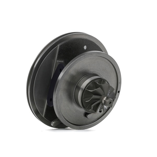 Rumpfgruppe Turbolader 4973C0180 RENAULT GRAND SCÉNIC von RIDEX