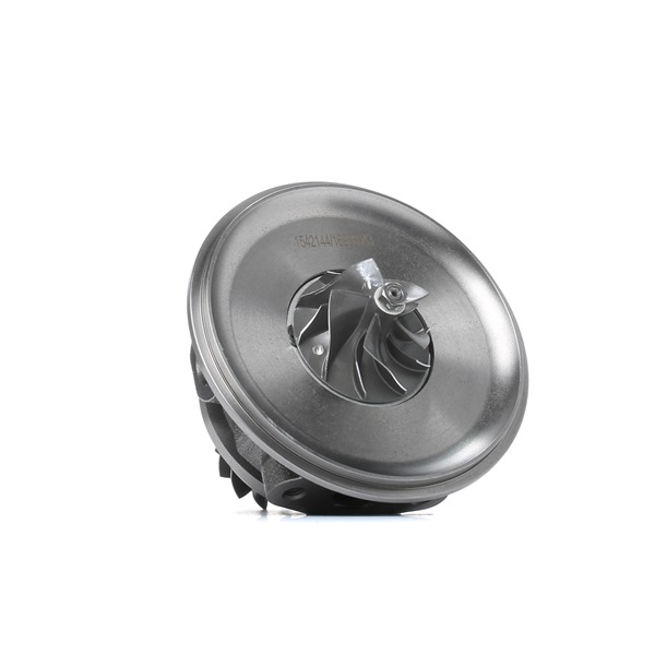 Rumpfgruppe Turbolader 4973C0221 FIAT BRAVO von RIDEX