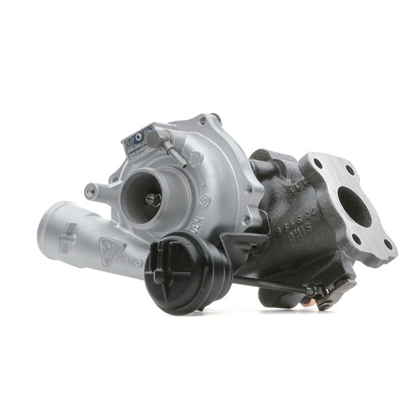 Achetez des Turbocompresseur RIDEX REMAN 2234C10659R à prix pour 434,40 €