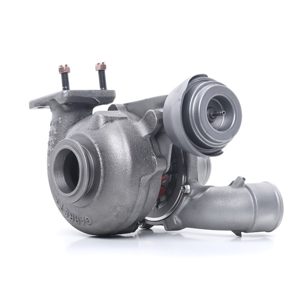 Achetez des Turbocompresseur RIDEX REMAN 2234C10626R à prix pour 362,18 €