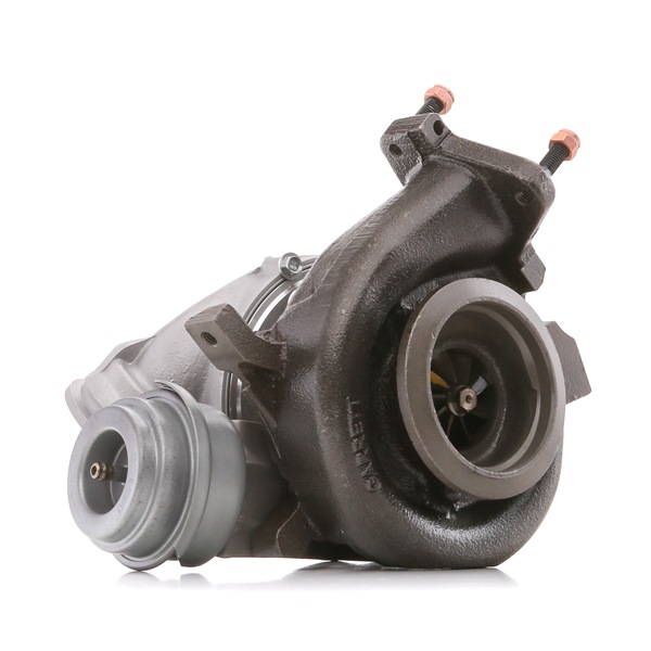 Turbolader 2234C0413R