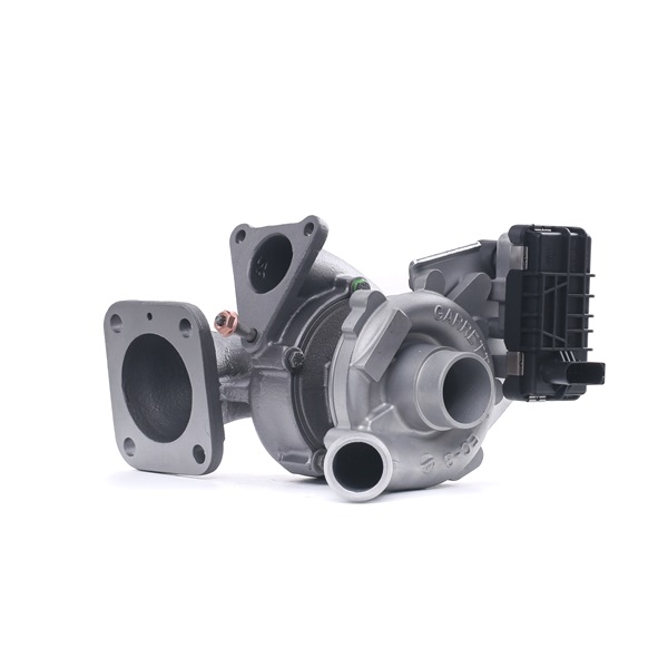 Original RIDEX REMAN Turbolader online kaufen