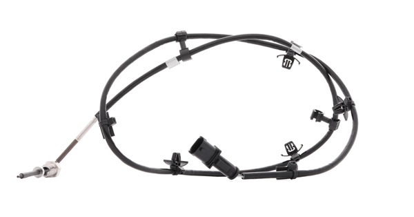 Compre Sensor, temperatura dos gases de escape da DELPHI TS30238 a um preço baixo por 58,44 €