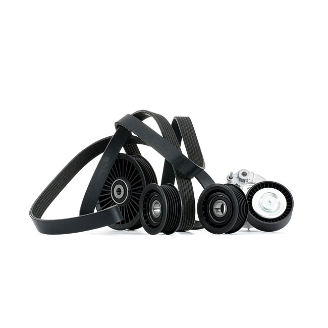 Keilrippenriemensatz SKRBS-1200720