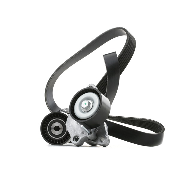 Achetez des Jeu de courroies trapézoïdales à nervures RIDEX 542R0726 à prix pour 85,30 €