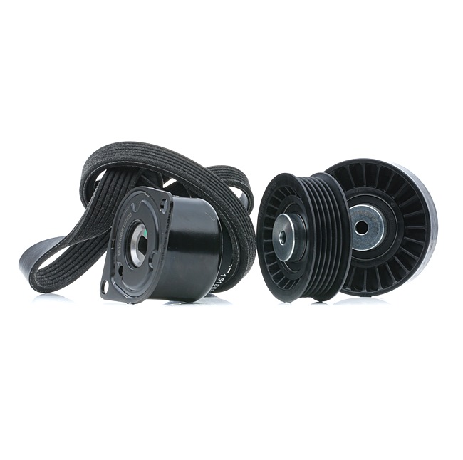Keilrippenriemensatz von RIDEX für Transporter IV Bus (70B, 70C, 7DB, 7DK, 70J, 70K, 7DC, 7DJ) günstig online kaufen
