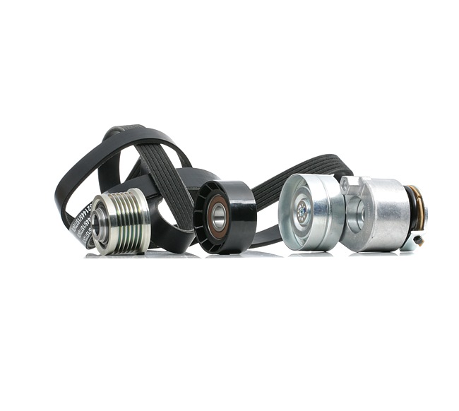 Achetez des Jeu de courroies trapézoïdales à nervures RIDEX 542R0732 à prix pour 95,64 €
