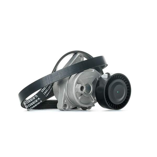 Keilrippenriemensatz SKRBS-1200733