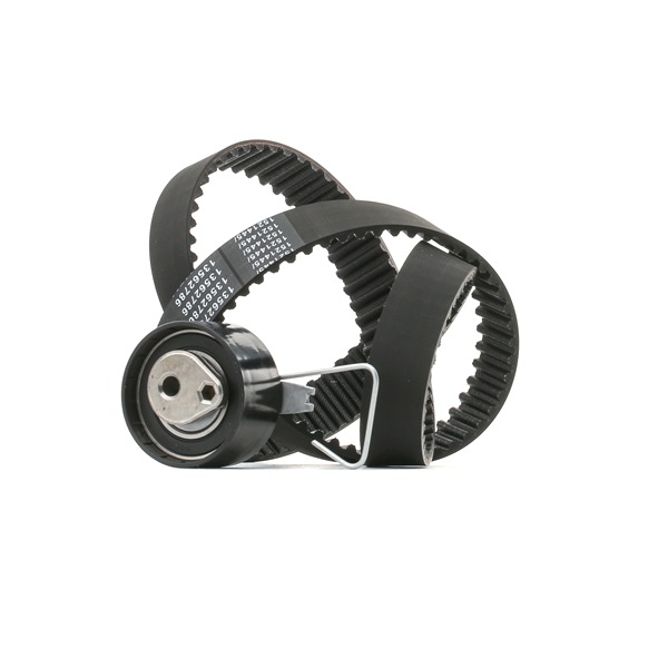 Zahnriemensatz 307T0428 ROVER COMMERCE von RIDEX