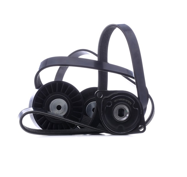 Keilrippenriemensatz von RIDEX für Transporter IV Bus (70B, 70C, 7DB, 7DK, 70J, 70K, 7DC, 7DJ) günstig online kaufen