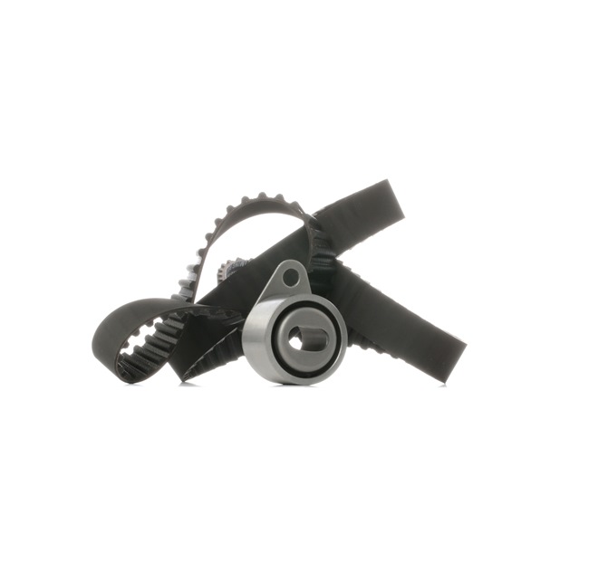 Achetez des Kit de distribution RIDEX 307T0430 à prix pour 44,94 €