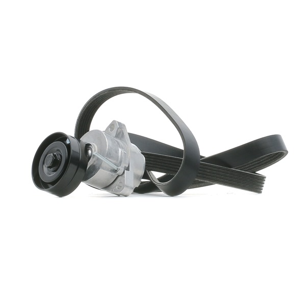 Comprar Juego de correas trapeciales poli V de RIDEX 542R0770 a bajo precio de 47,74 €