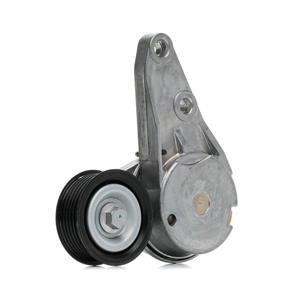 Compre Rolo tensor, correia trapezoidal estriada de RIDEX online para S-Max Mk1 MPV a preços moderados