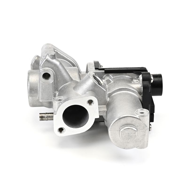 Comprar Válvula EGR de DELPHI EG10509-12B1 a bajo precio de 119,27 €