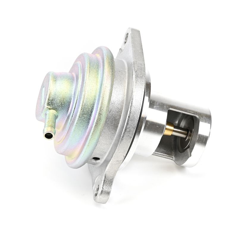 Acquista Valvola EGR da DELPHI EG10525-12B1 a buon mercato per soli 72,89 €