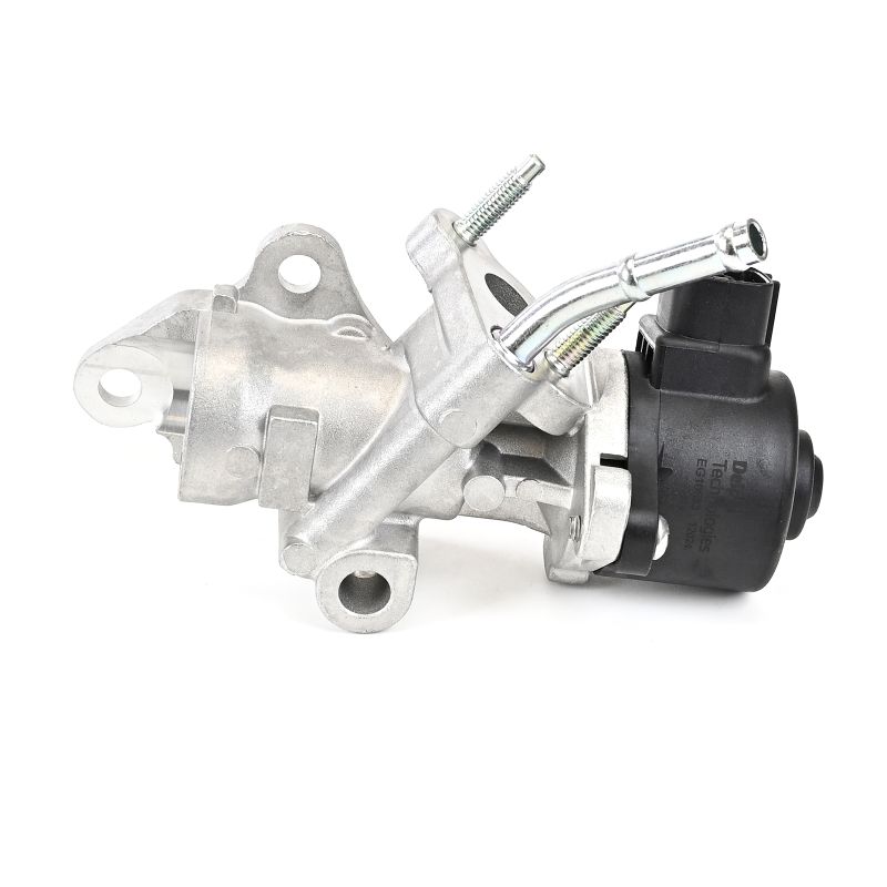 Acquista Valvola EGR da DELPHI EG10533-12B1 a buon mercato per soli 126,25 €