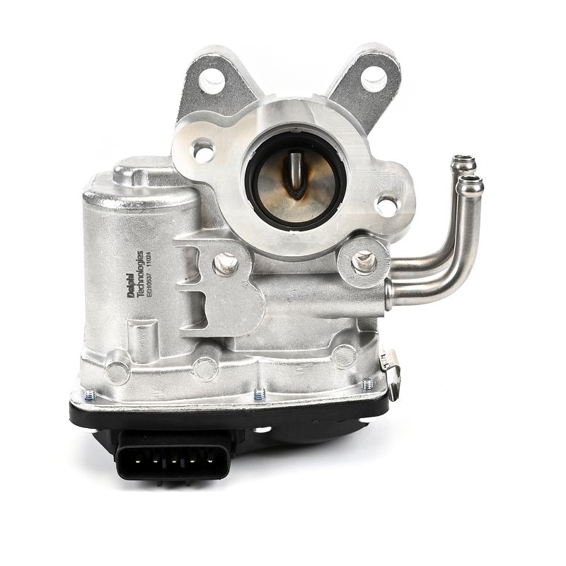 Acquista Valvola EGR da DELPHI EG10537-12B1 a buon mercato per soli 160,37 €