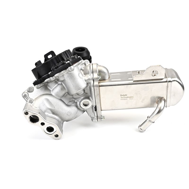Acquista Valvola EGR da DELPHI EG10549-12B1 a buon mercato per soli 398,53 €