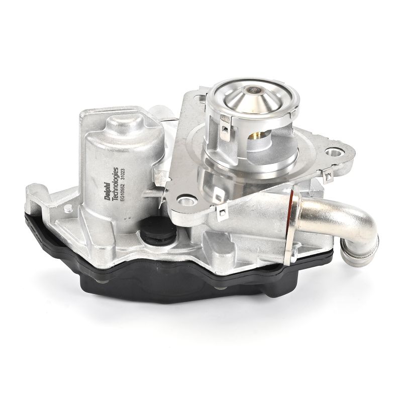 Comprar Válvula EGR de DELPHI EG10552-12B1 a bajo precio de 193,64 €