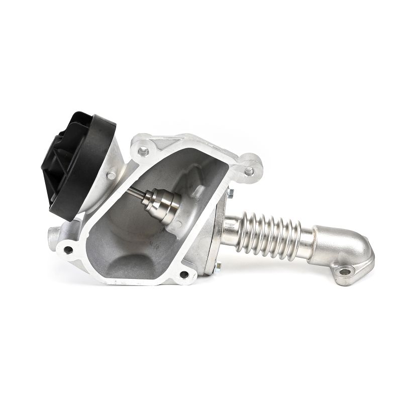 Comprar Válvula EGR de DELPHI EG10554-12B1 a bajo precio de 116,94 €