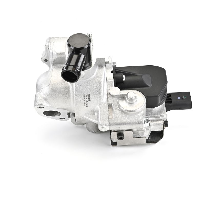 Comprar Válvula EGR de DELPHI EG10579-12B1 a bajo precio de 164,66 €