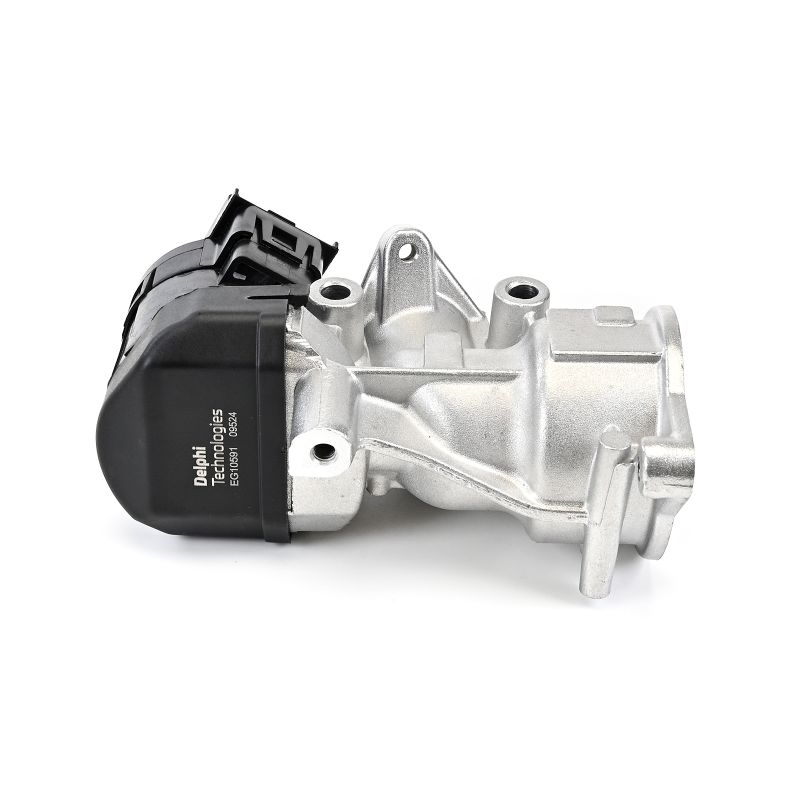 Acquista Valvola EGR da DELPHI EG10591-12B1 a buon mercato per soli 129,43 €