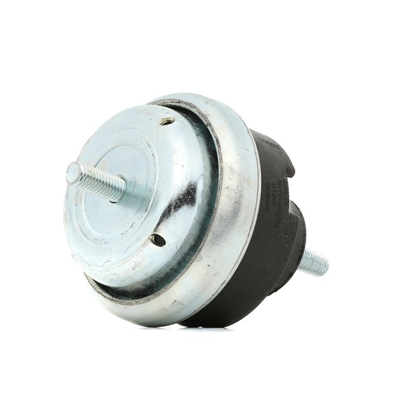 Comprar Soporte de motor de DELPHI TEM066 a bajo precio de 21,90 €